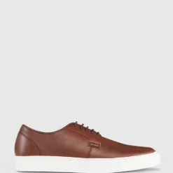 Deals ✨ AQ by Aquila Burnie Sneakers Cognac ⌛