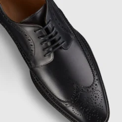 Promo 😍 Aquila Bennet Brogues Black 🤩 -Mens Shoes Shop http3A2F2Fstatic.theiconic.com .au2Fp2Faquila 1528 5068431 4