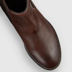 Best reviews of 🧨 Aquila Hoskea Chelsea Boots Brown ✔️ -Mens Shoes Shop http3A2F2Fstatic.theiconic.com .au2Fp2Faquila 6748 9459921 4