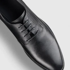 Promo ⭐ Aquila Wingate Dress 💯 Shoes Black 🧨 -Mens Shoes Shop http3A2F2Fstatic.theiconic.com .au2Fp2Faquila 6850 7944341 4