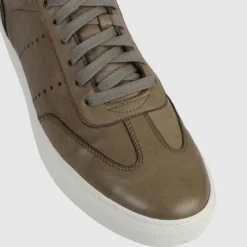 Outlet ❤️ Brando Colter Low Top sneakers Khaki 6331/camel 6175 💯 -Mens Shoes Shop http3A2F2Fstatic.theiconic.com .au2Fp2Fbrando 1085 7788541 4