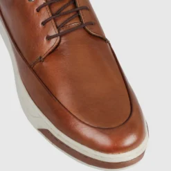 Deals ✨ Brando Halford Low Top sneakers Whisky 💯 -Mens Shoes Shop http3A2F2Fstatic.theiconic.com .au2Fp2Fbrando 9831 0036821 4