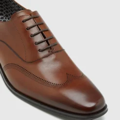 Best reviews of 🤩 Oxford Stefan Leather Brogue ⭐ Shoe Cognac Fenicia ✨ -Mens Shoes Shop http3A2F2Fstatic.theiconic.com .au2Fp2Foxford 1008 1218711 4