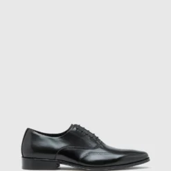 Wholesale 🛒 Oxford Stefan Leather Brogue Shoe Black Fenicia 🧨