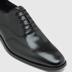 Wholesale 🛒 Oxford Stefan Leather Brogue Shoe Black Fenicia 🧨 -Mens Shoes Shop http3A2F2Fstatic.theiconic.com .au2Fp2Foxford 9171 2218711 4
