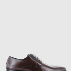 Wholesale 👏 Wild Rhino Spring Dark Brown 🌟